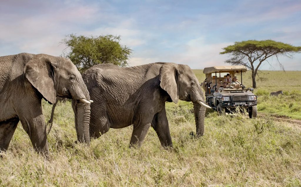 Serengeti National Park